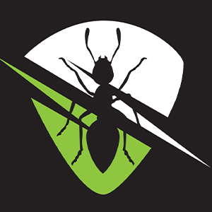 Ants and Termites Pest control