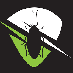 Cockroaches Pest control
