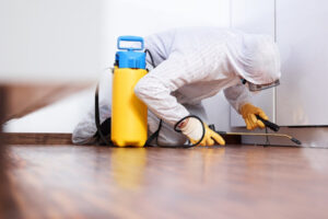 pest control services johannesburg