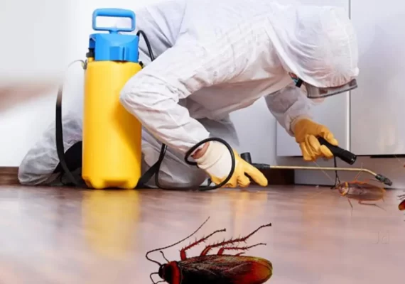 Fumigation Services