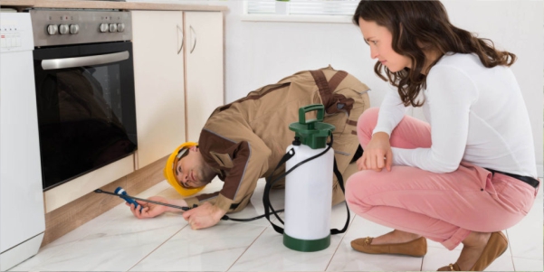 Pest Control Gauteng